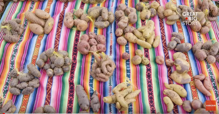 This Peruvian Farmer Grows Over 400 Varieties of Potatoes