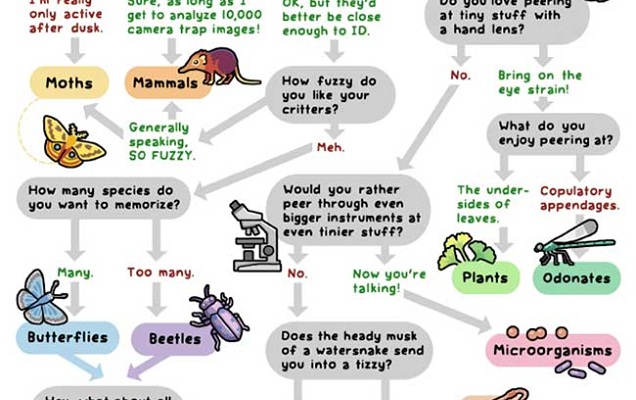 Which Beings Would You Love To Study?