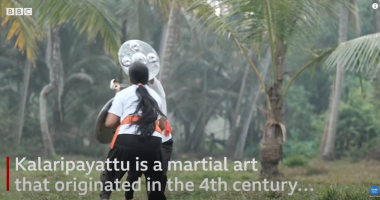 Kalaripayattu a 3,000 year martial art